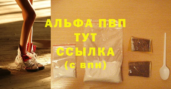 spice Верея